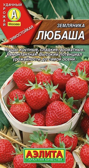 Земляника ремонтантная Любаша (10 семян) - семена Аэлита