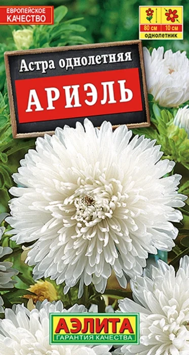 Астра Ариэль (0,2г) - семена Аэлита