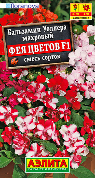Бальзамин Фея Цветов, смесь F1 (5 семян) - семена Аэлита