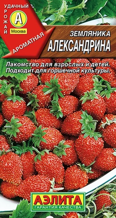 Земляника Александрина (0,04г) - семена Аэлита