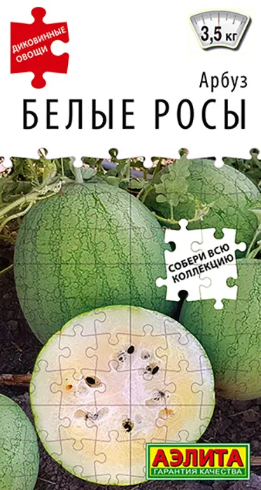 Арбуз Белые Росы (5 семян) - семена Аэлита