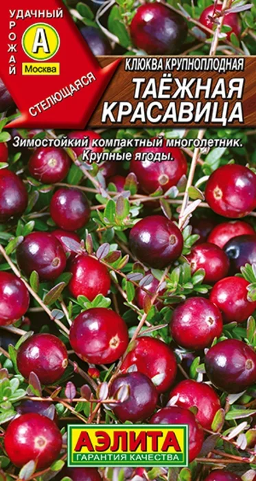 Клюква Таежная Красавица крупноплодная (0,02г) - семена Аэлита