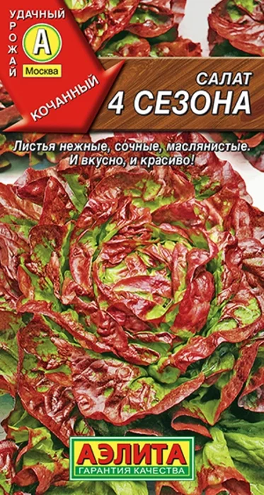 Салат 4 Сезона кочанный (0,5г) - семена Аэлита
