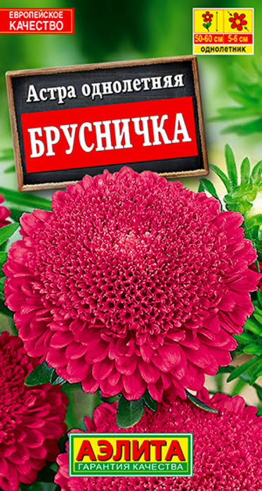 Астра Брусничка (0,2г) - семена Аэлита