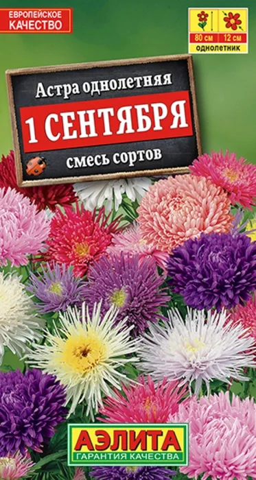 Астра 1 Сентября, смесь (0,2г) - семена Аэлита
